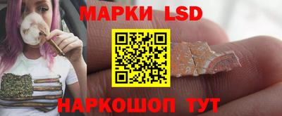 стафф Донской