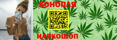 стафф Донской