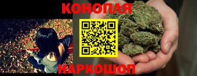 стафф Донской
