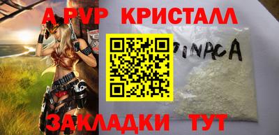 стафф Донской