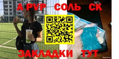 стафф Донской
